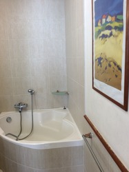 Balestier Point (D12), Apartment #165067752